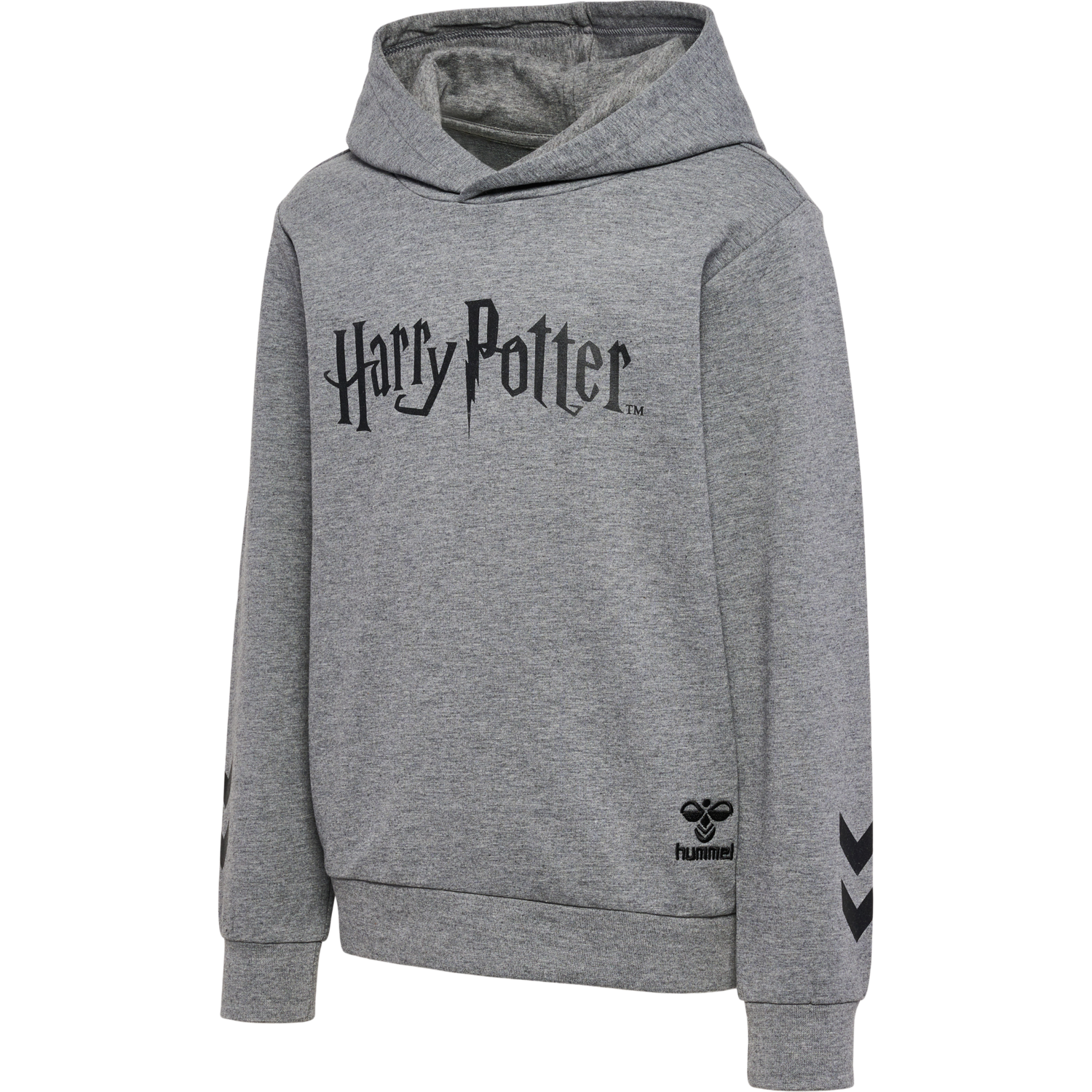 hmlHARRY POTTER HOODIE