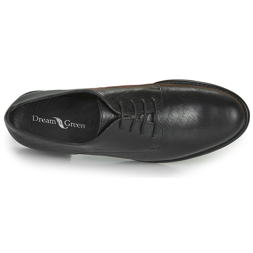 Dream in Green - NOUSSIN - Noir