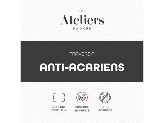 Traversin Anti-acariens 140cm