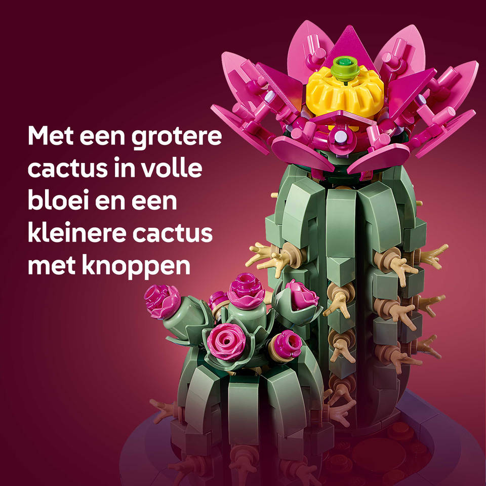 LEGO Botanicals bloeiende cactus 11509