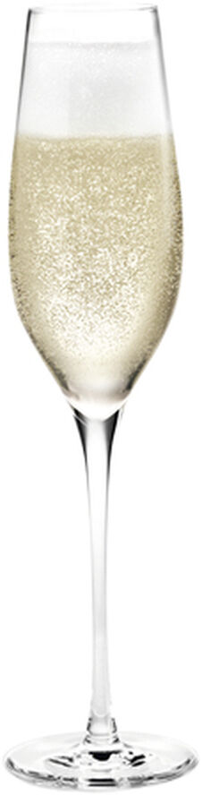 Holmegaard Cabernet Champagneglas klar 29 cl 6 stk. Transparent