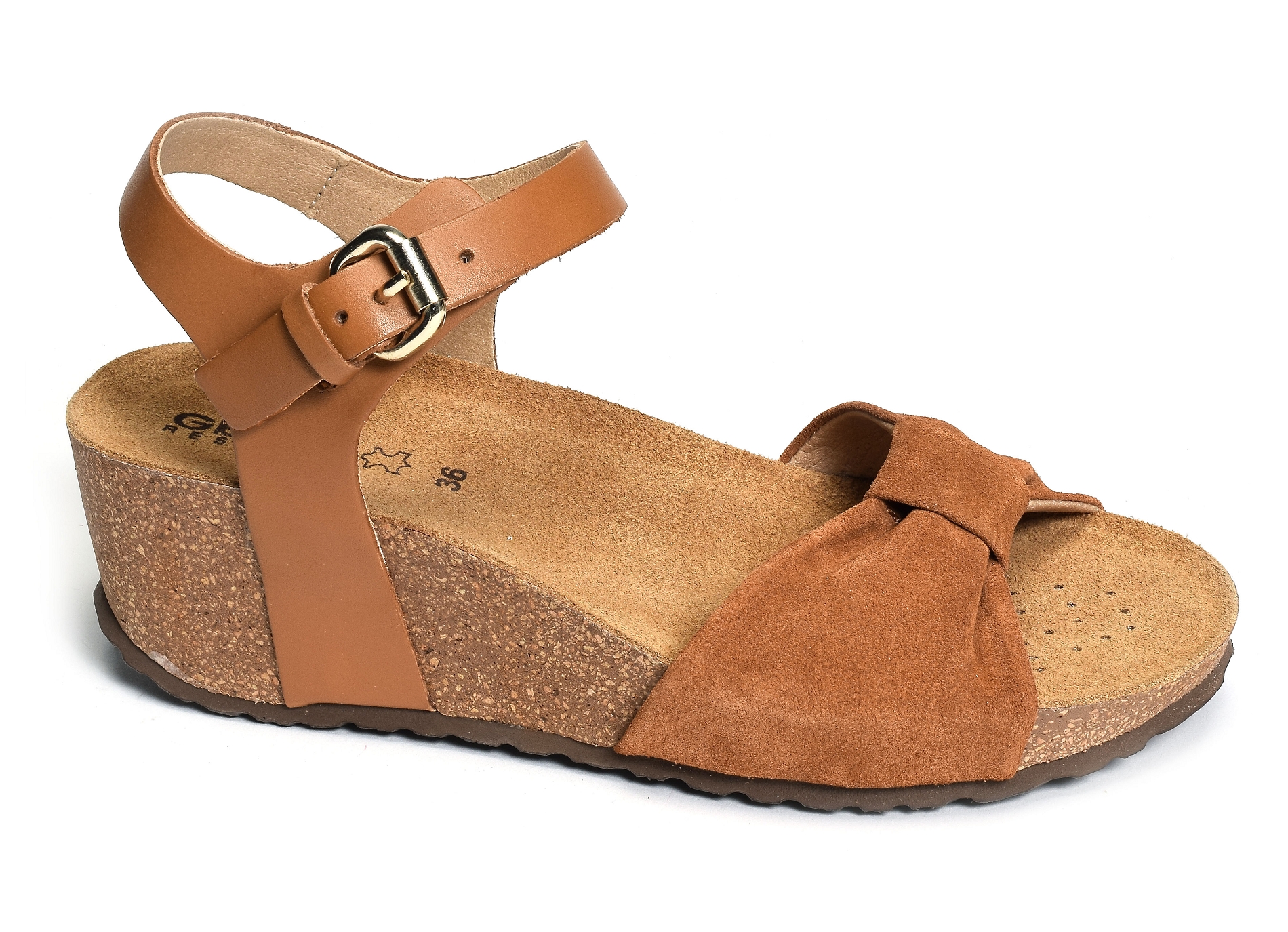 D diantha c camel