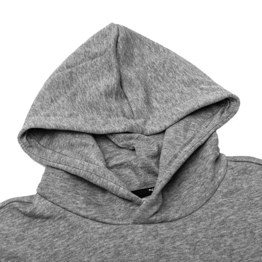 PUMA Sweat à Capuche teamGOAL 23 Casuals - Gris/Noir Enfant