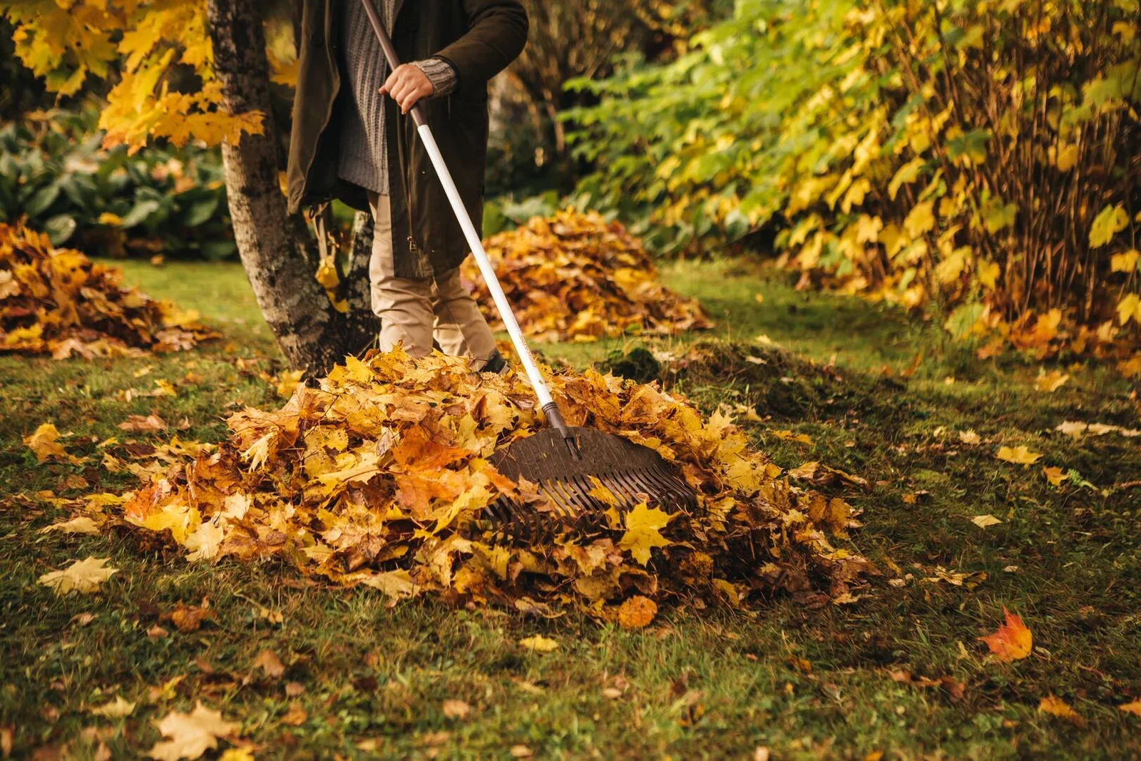 Fiskars Løvrive Classic Lengde 170 cm