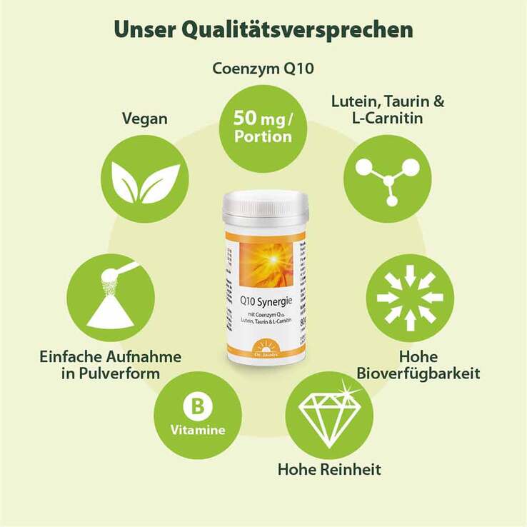 Q10 Synergie Pulver, 80 g