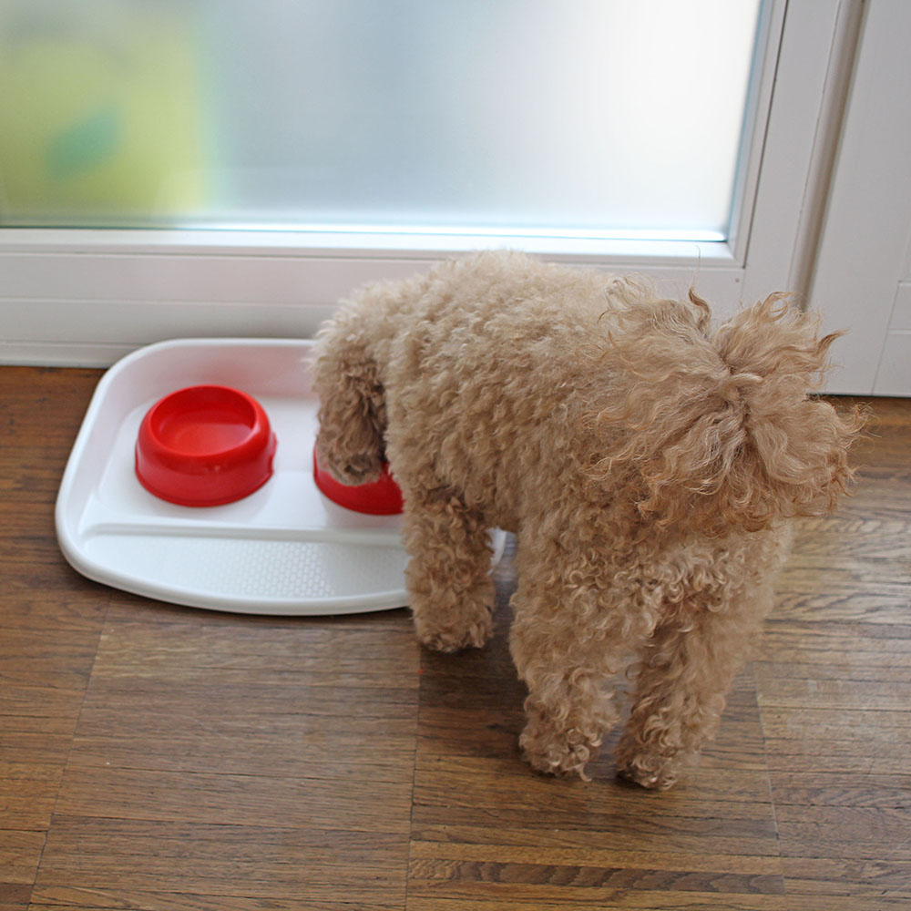 Ferplast plateau avec écuelles pour chats et chiens lindo double écuelle pour animaux, base en plastique résistant, pieds