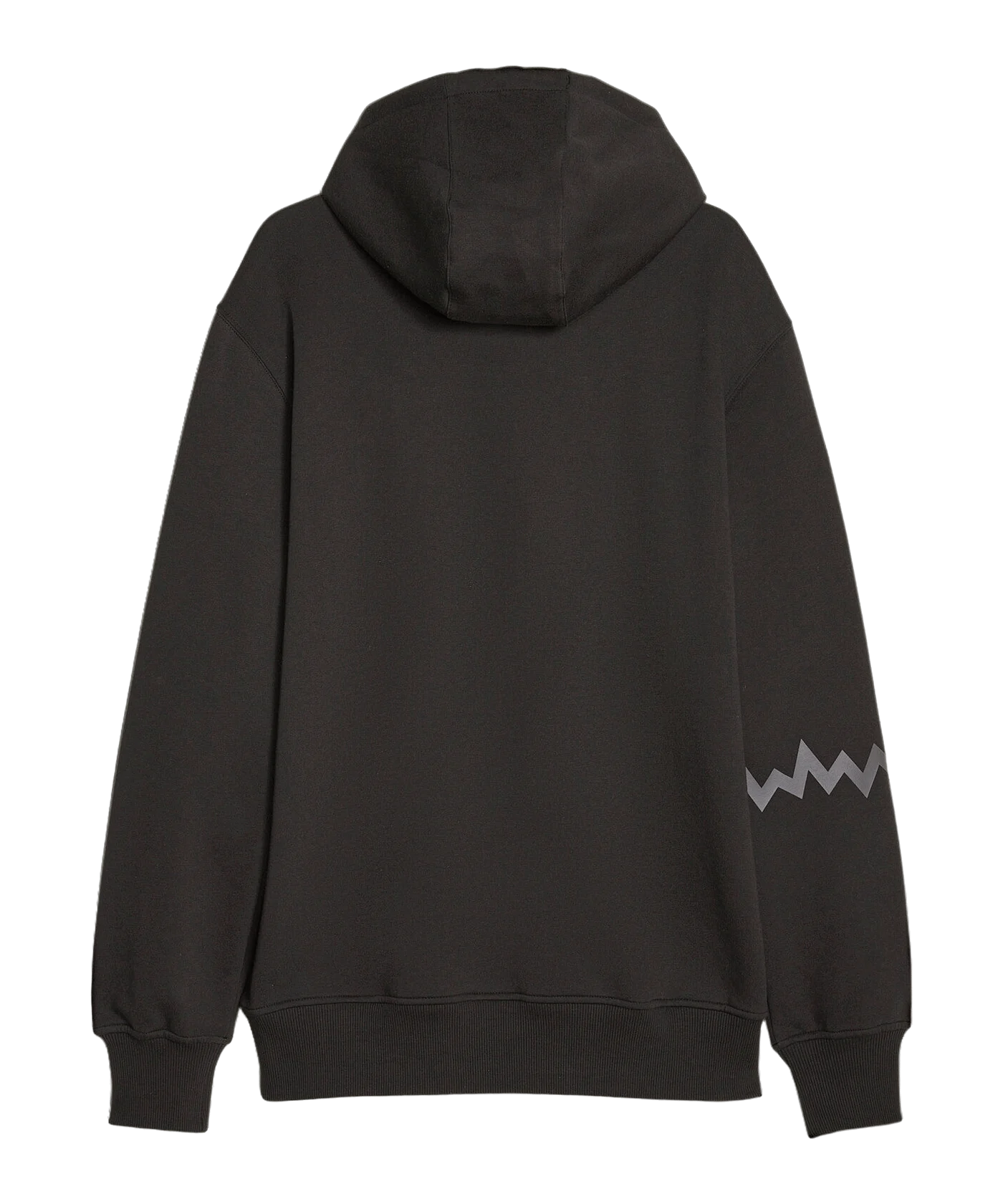 PUMA Hoops Team Hoody Schwarz F01