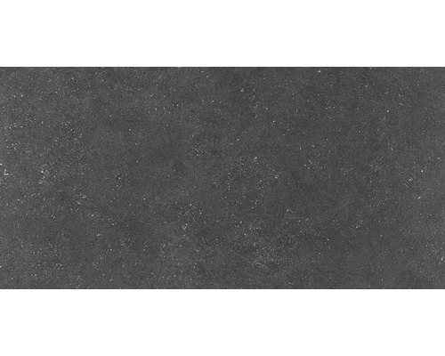 Porseleinen steengoed wand- en vloertegel Alpen grafiet 60 x 120 cm Gerectificeerd