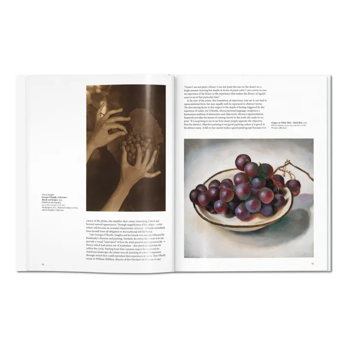 Taschen O'Keeffe