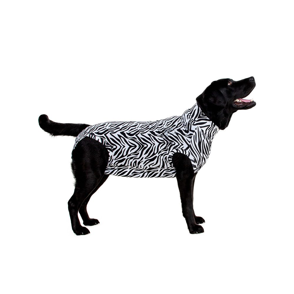Medical Pet Shirt Hond Zebra Print