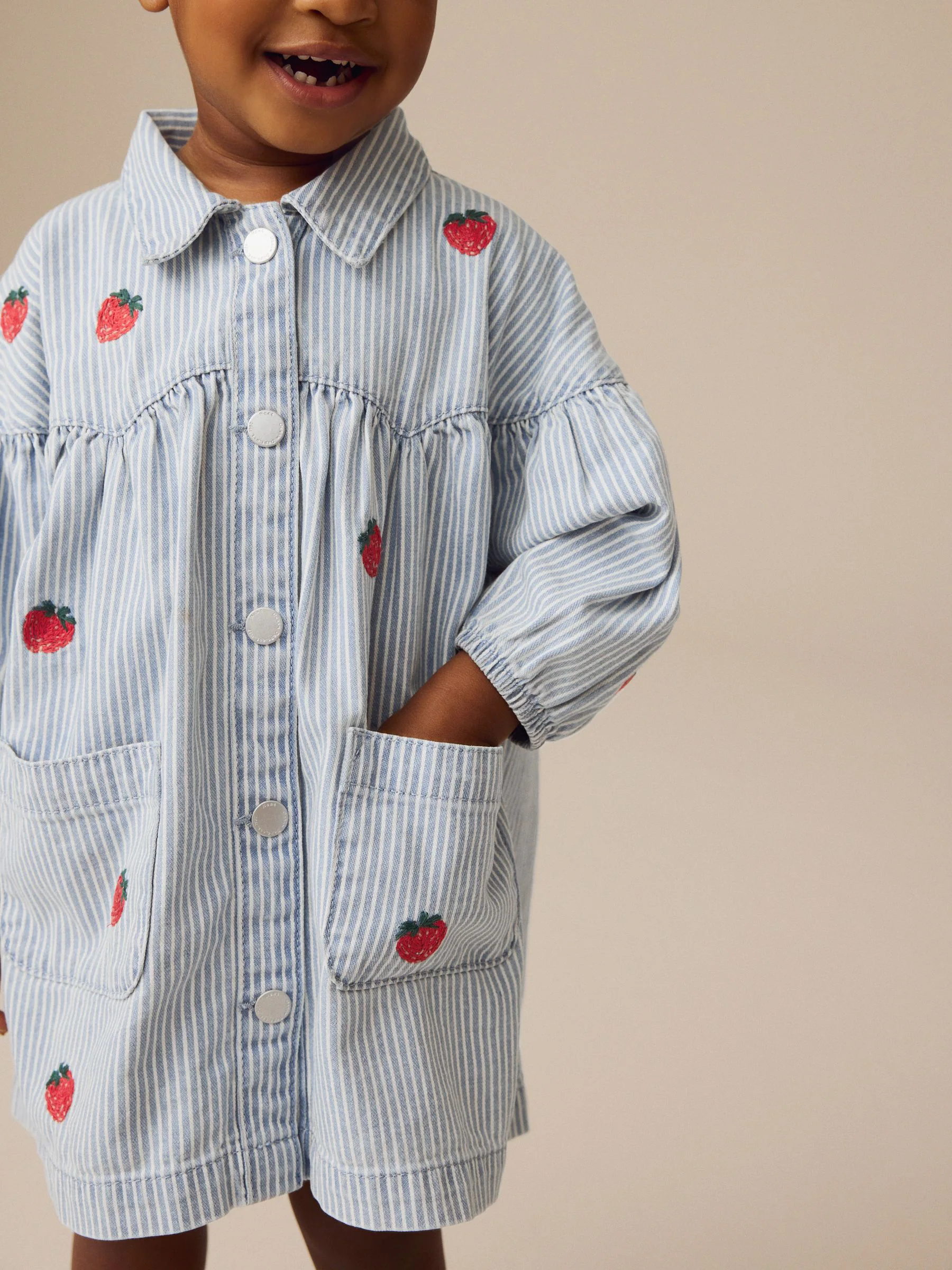 Blauw gestreept met aardbei - Geborduurde denim overhemdjurk (3 mnd - 8 jr)