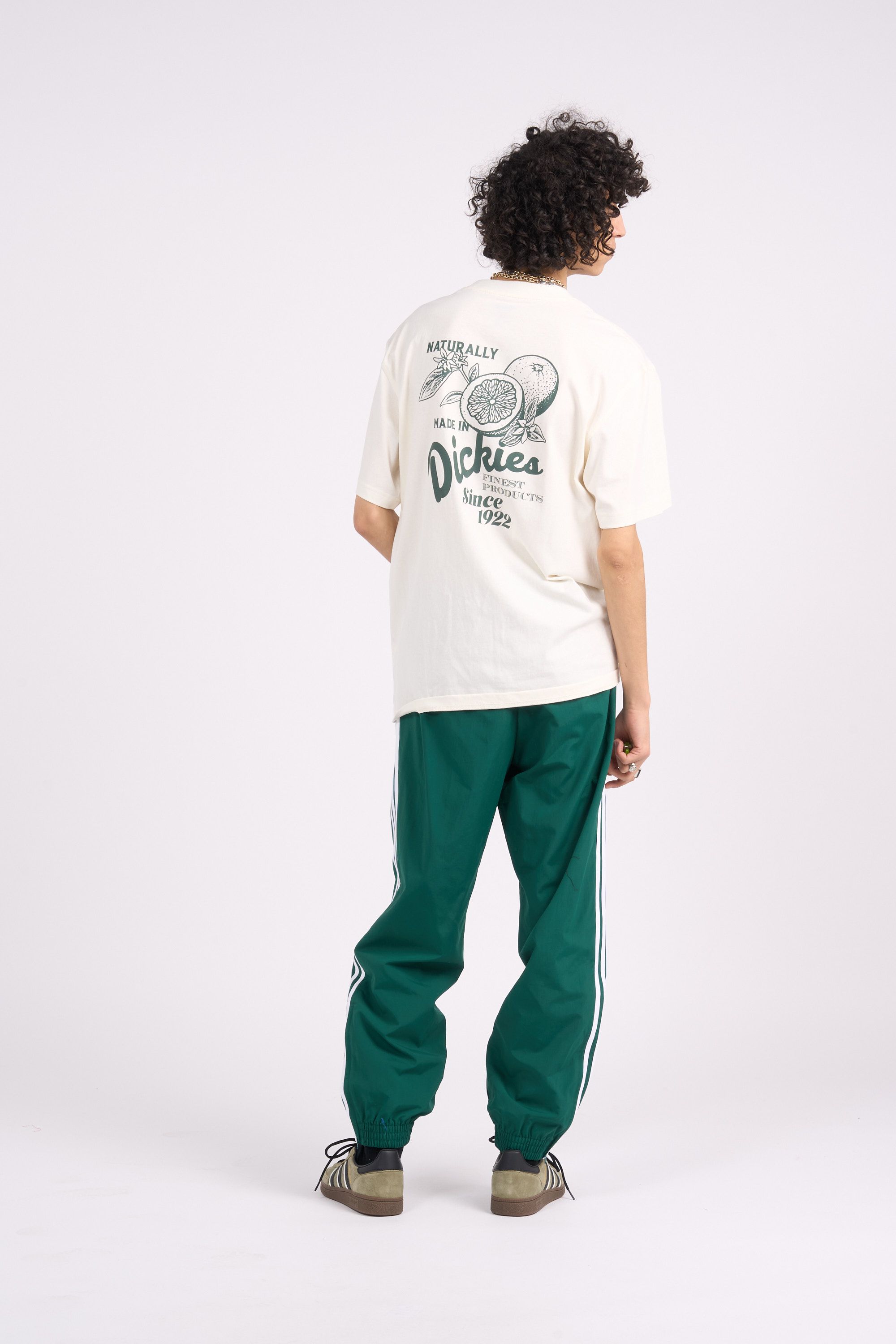 DICKIES T-shirt RAVEN TEE SS Beige