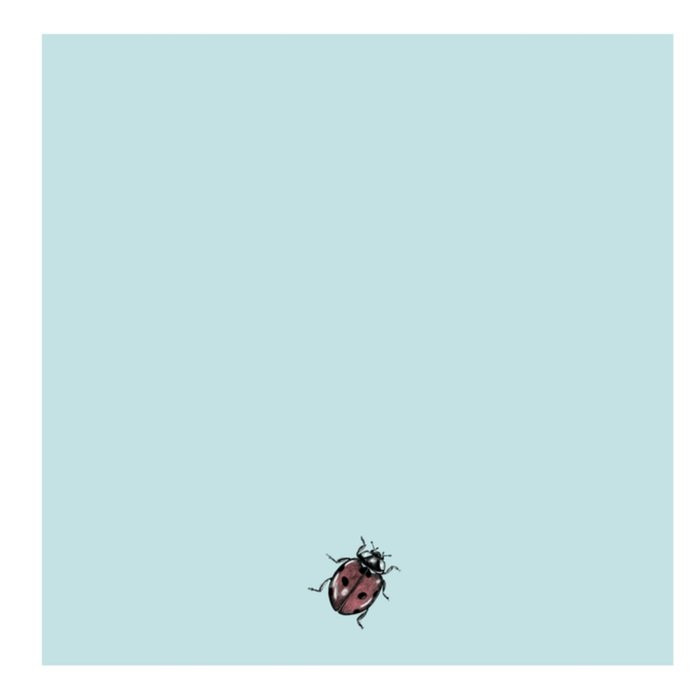 Greetz | Geboortekaart | jongetje
