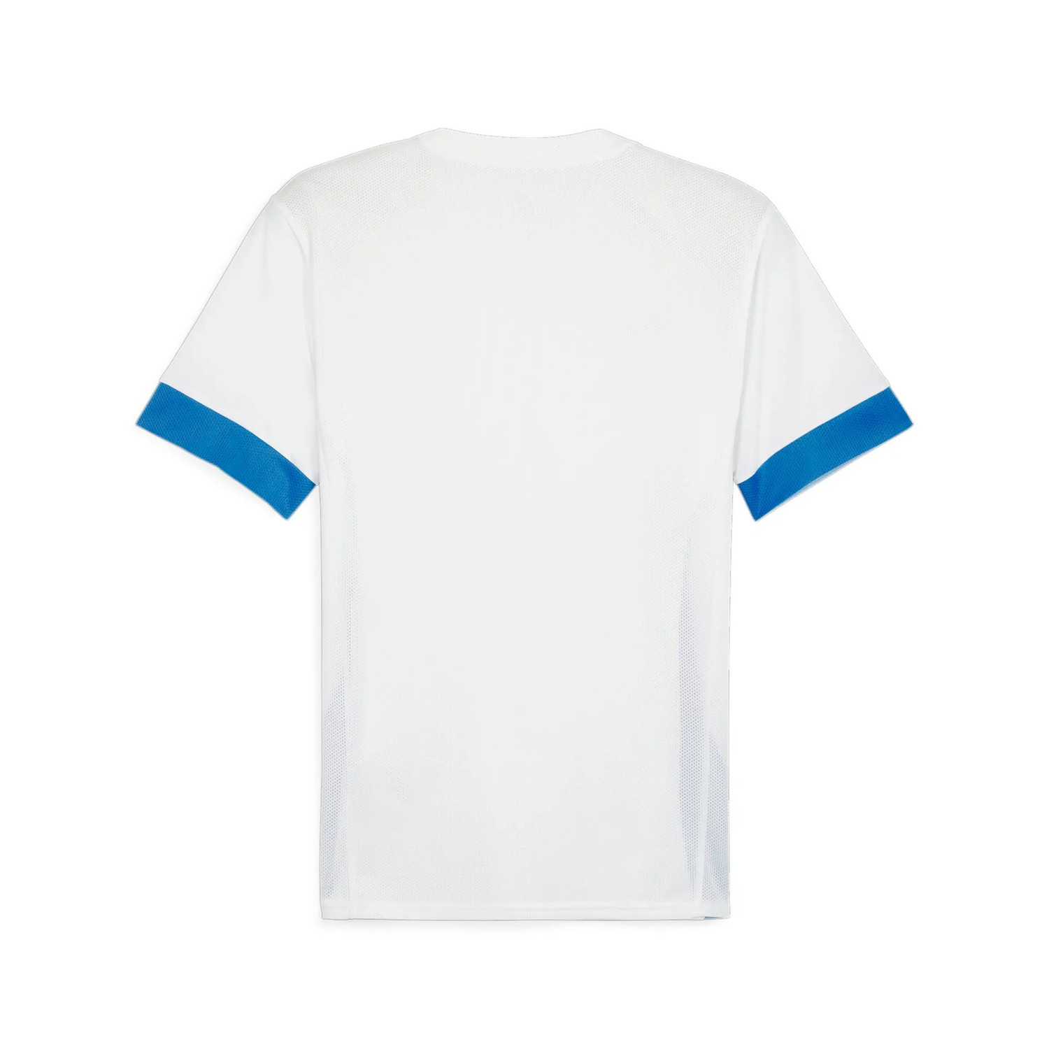 Puma GOAL Training Shirt