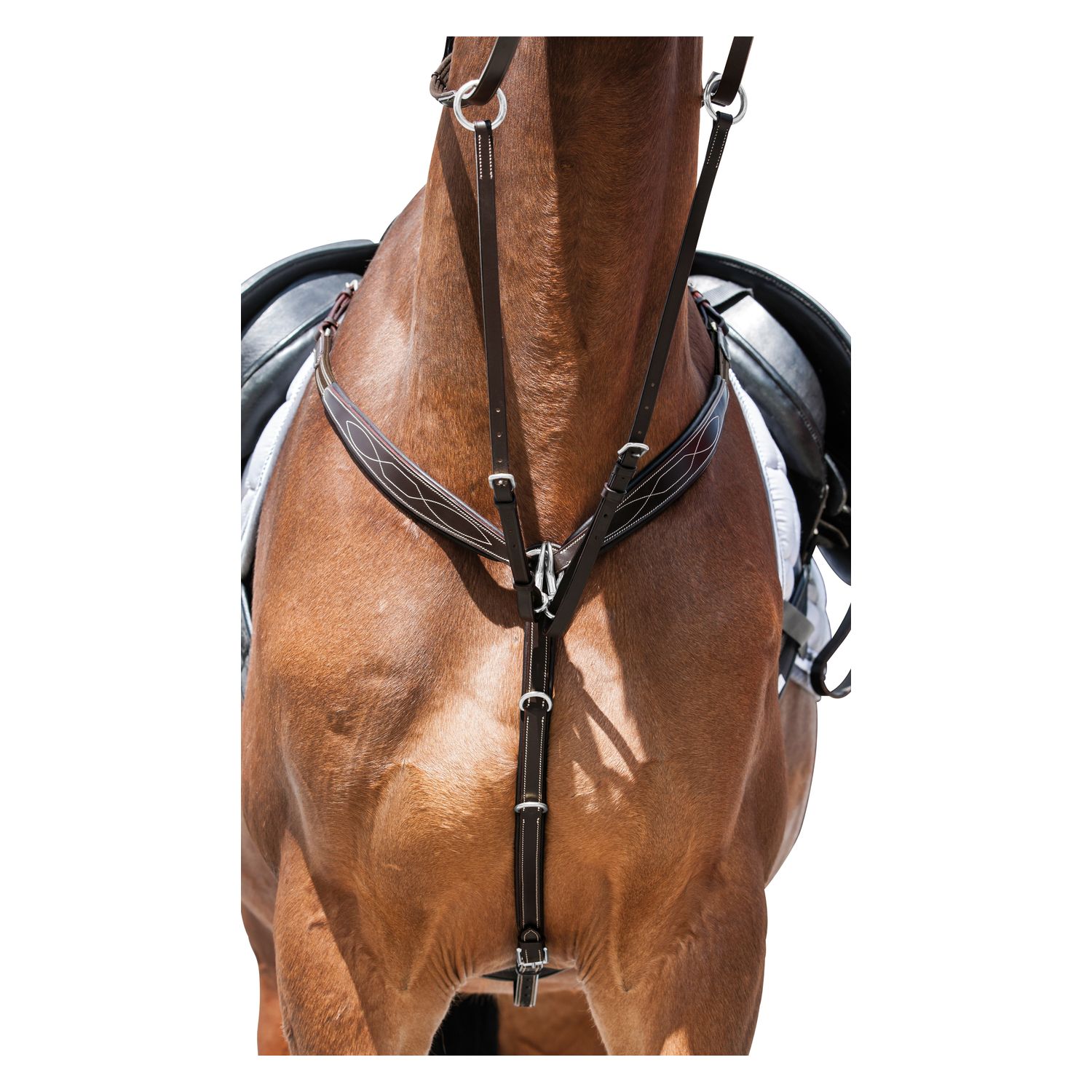 Loesdau Vorderzeug Elegance  - havanna - Warmblut