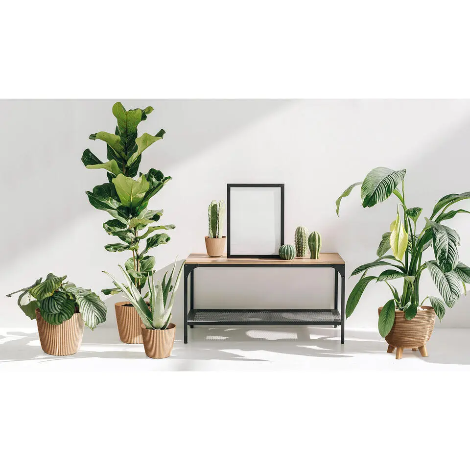 Prosperplast Plantenpot Buckingham - ivoor wit - D19 cm