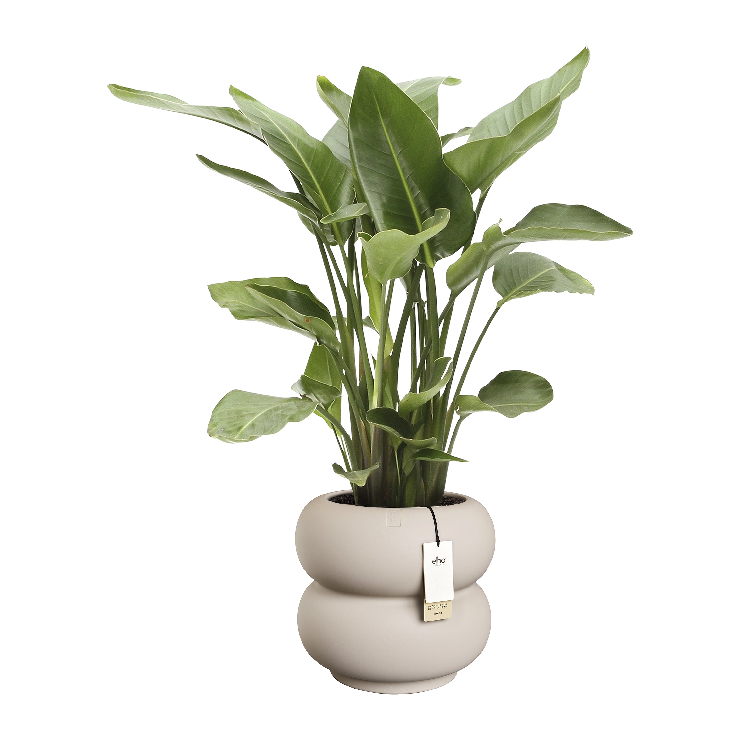 Elho Amber Roll Low 43 - Balanced beige - Ã 43 x H 40 cm - Binnen en Buiten - 100% gerecycled kunststof