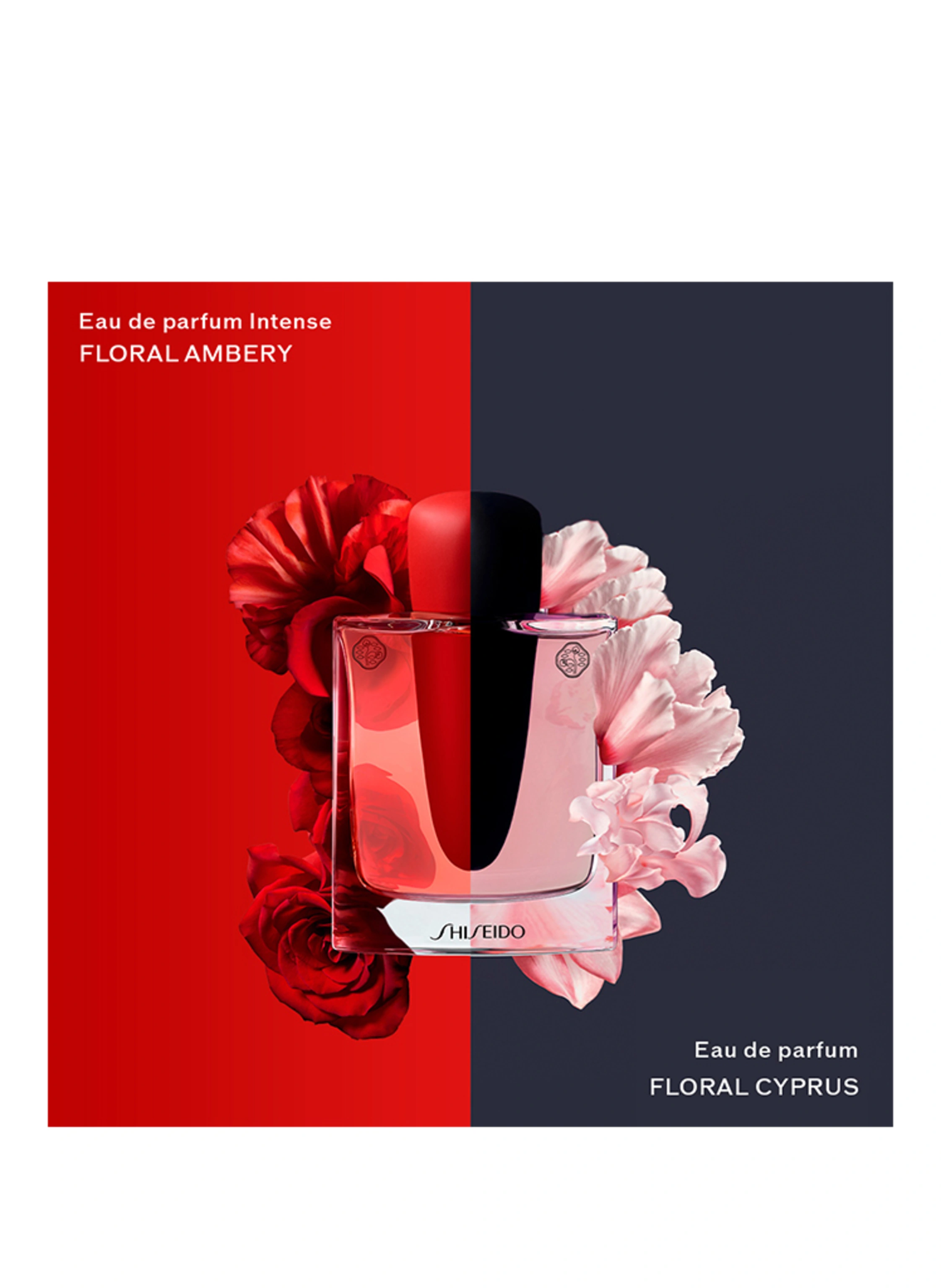 SHISEIDO GINZA