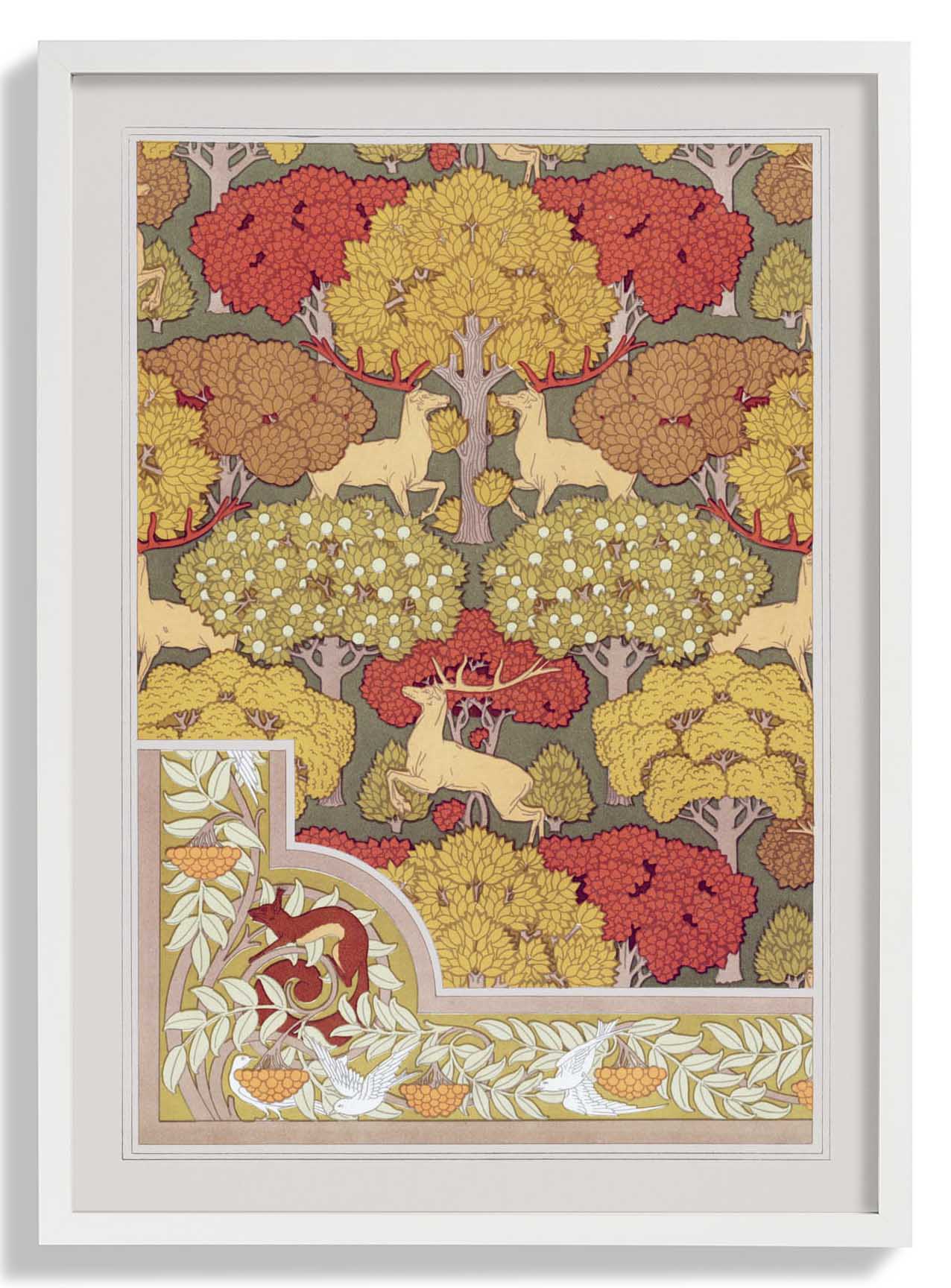 Rehe und Eichhörnchen