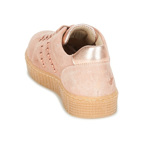 Bullboxer - AIB006 - Rose