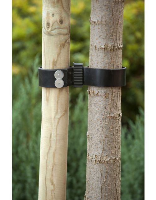 Nature Spijkerboomband - Klim-En Geleide Artikel - 0.2x3.8x90 cm Zwart