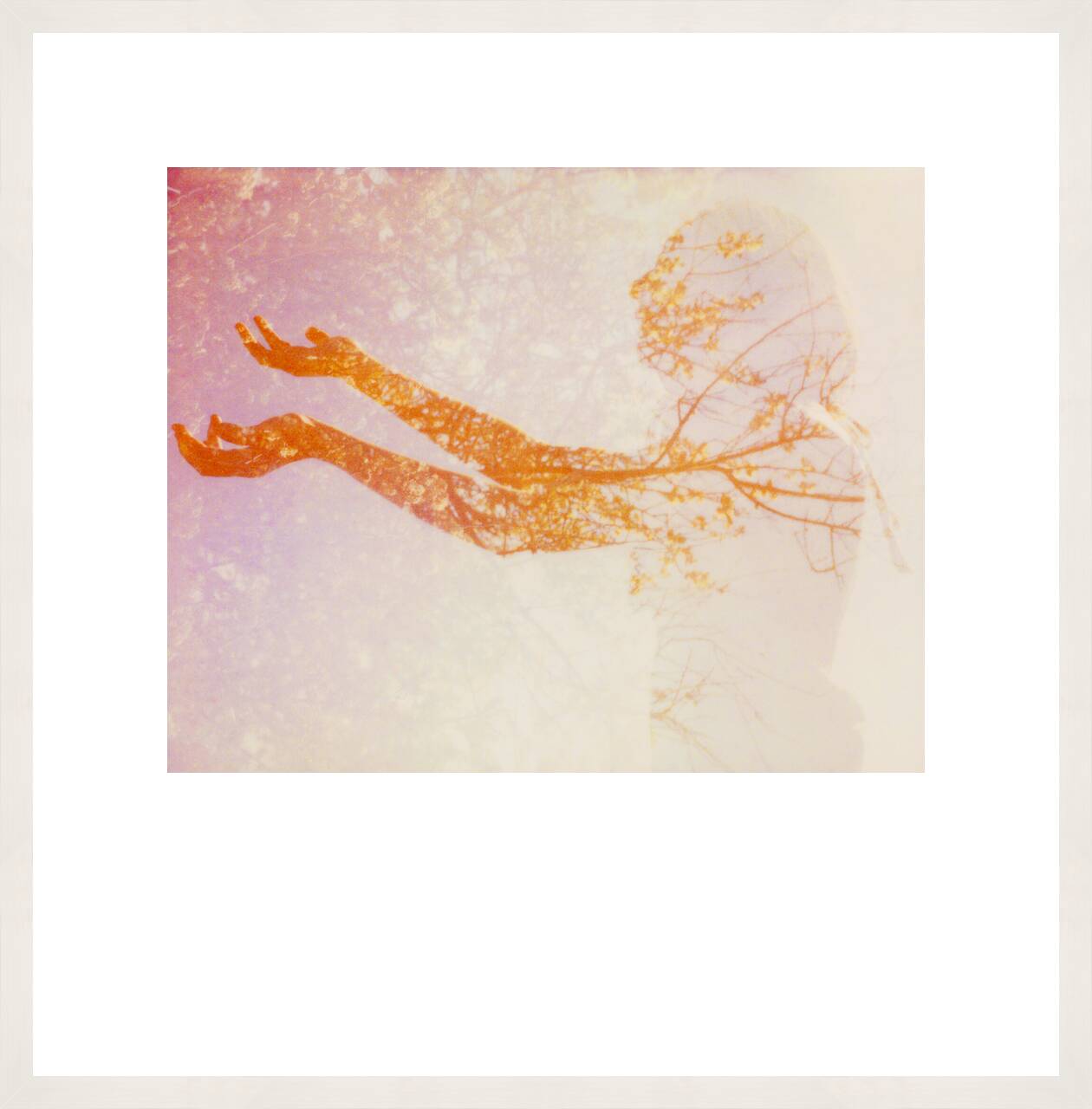 Illuminated VI by Clay Lipsky - Limited Edition. Edition of: 100. Signed.