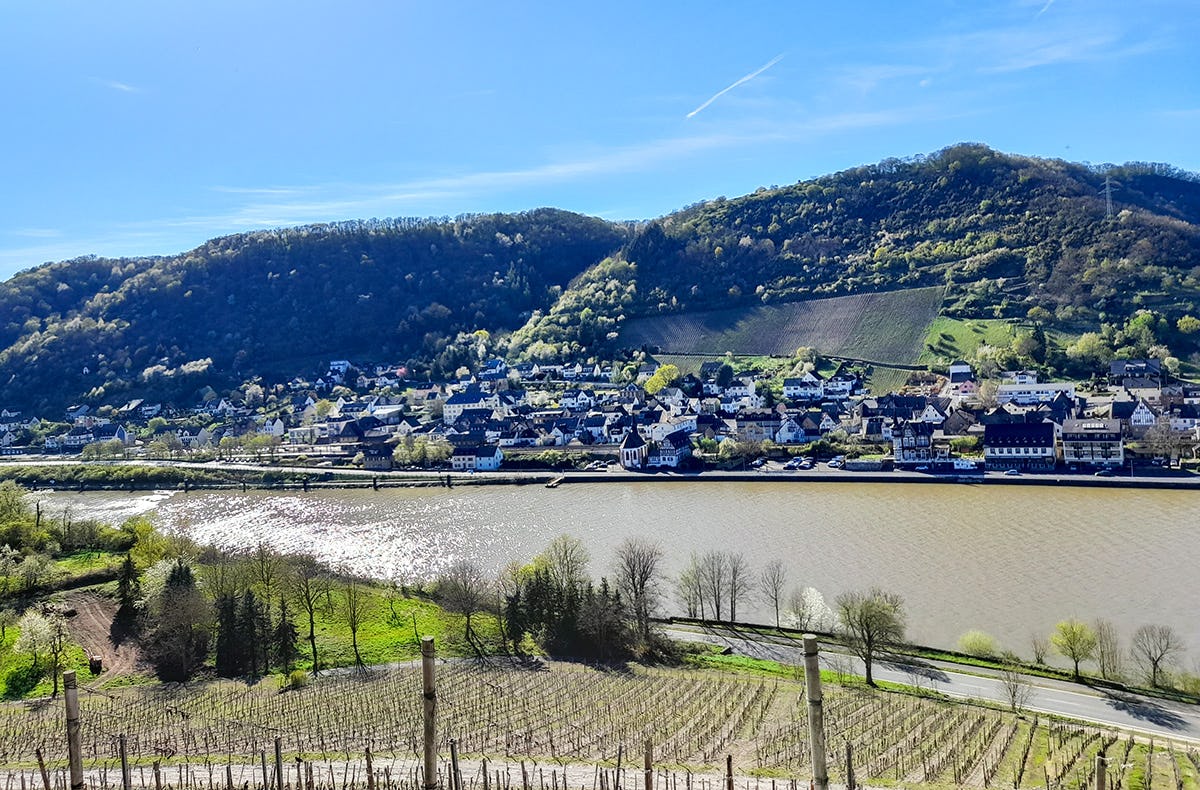 Weinausflug & Schifffahrt auf der Mosel