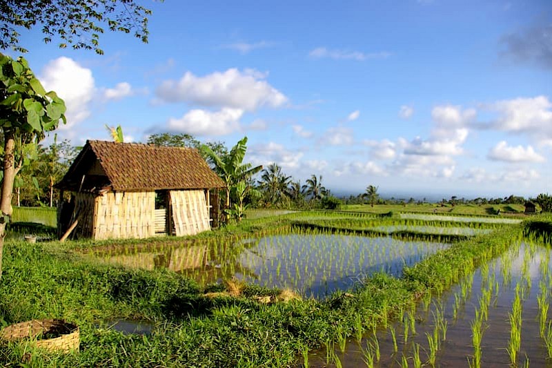 Pareltjes rondom Bali