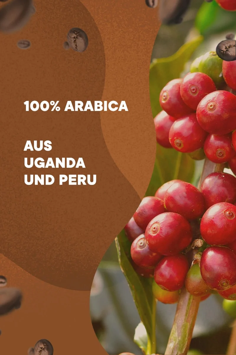 roastmarket you got roasted! Cafe Crema Creamylicious Bio Vorteilspaket 2kg