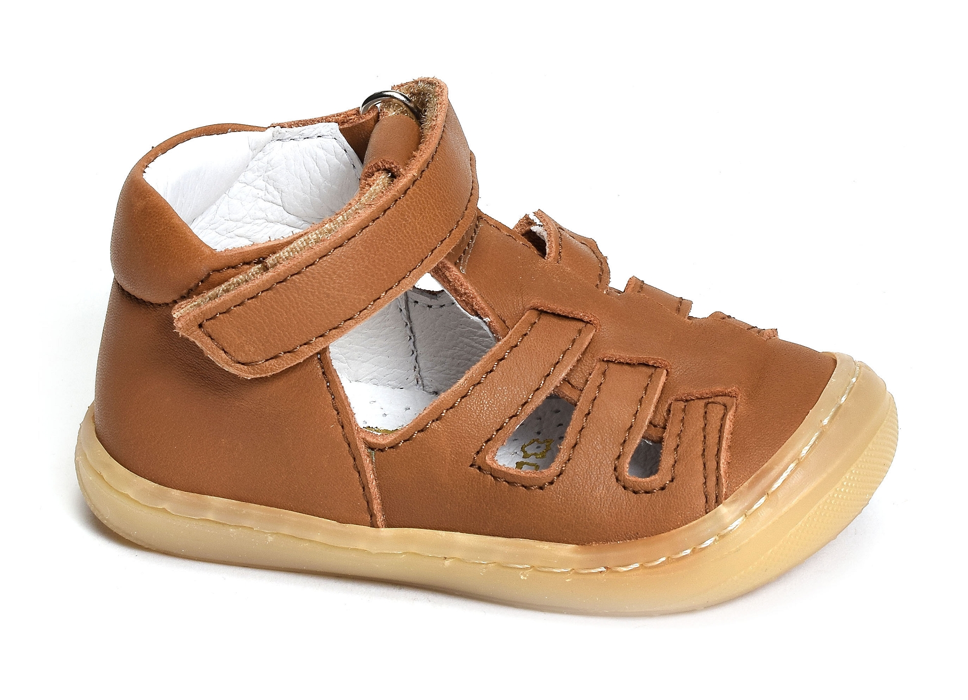 Lopp camel