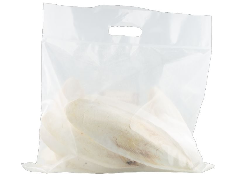 Eric Schweizer Ziervogelfutter Sepiaschale, 1 kg 100% Sepiaschale