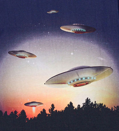 Molo Bluse - Rube - Besuch aus der Ferne