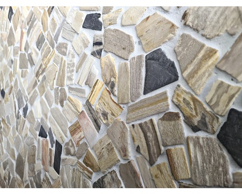 Natuursteen mozaïek gebroken/Ciot mix hout steen fossiel