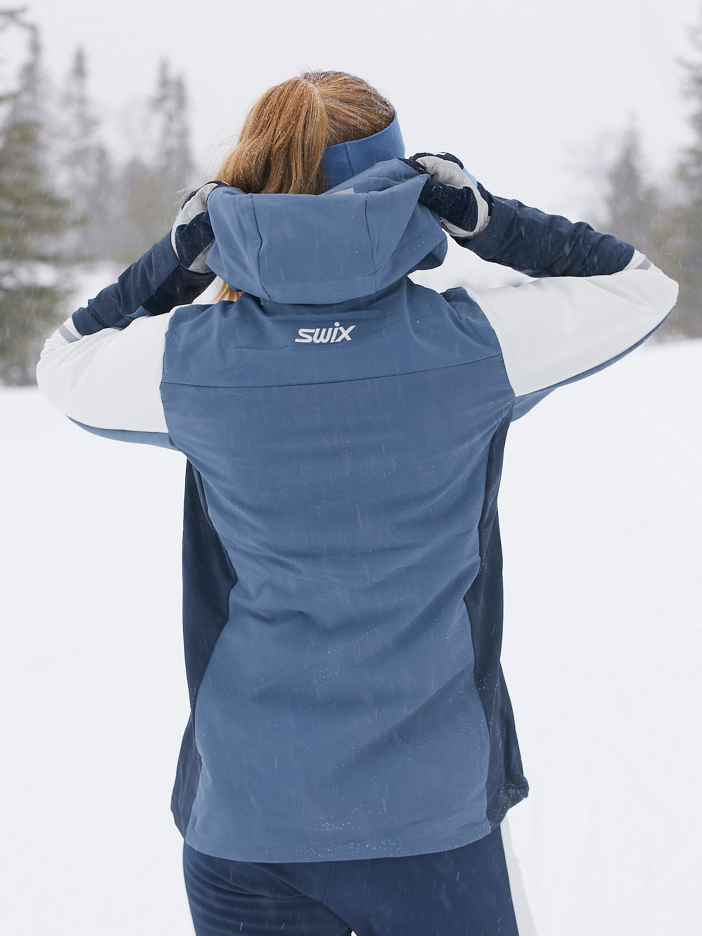 Evolution Softshield Jacket