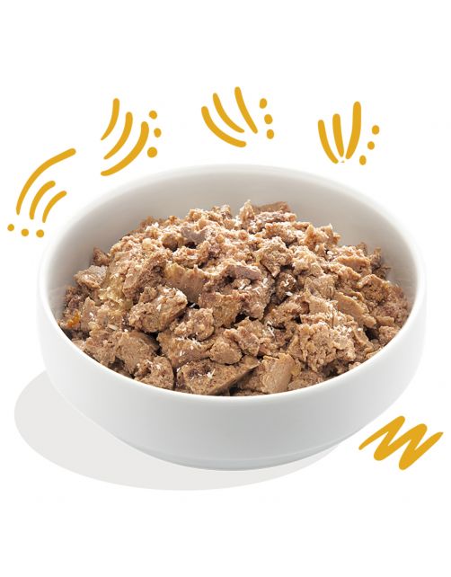 Edgard&Cooper Kuipje Bio Turkey Adult - Hondenvoer - Kalkoen Kokos Chiazaad 100 g Biologisch