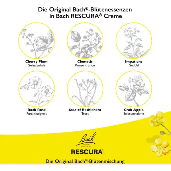Bachblüten Creme