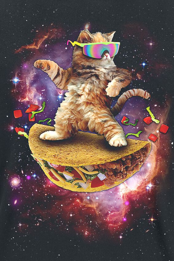 Awesome Cat | Goodie Two Sleeves T-Shirt Manches courtes