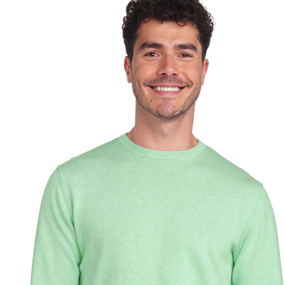 VanVaan Herren Pullover in Unifarben hellgrün