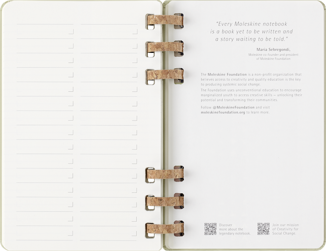 Life Planner 2025 L 12-Month, Spiral