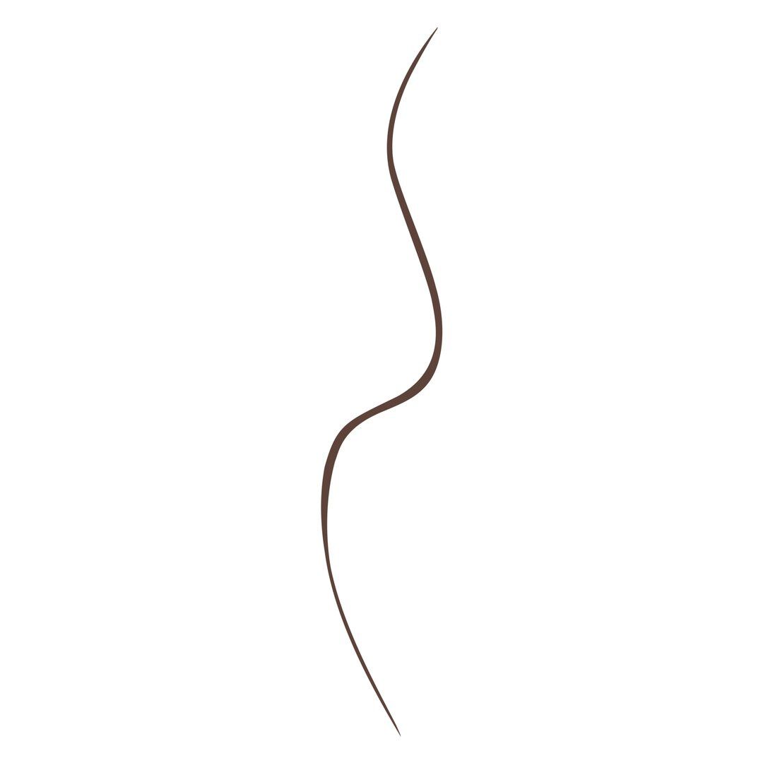 BOURJOIS  Liner Feutre Slim Waterproof Eyeliner
