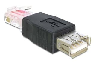 Delock - USB-adapter - RJ-45 (hann) til USB (hunn) - svart