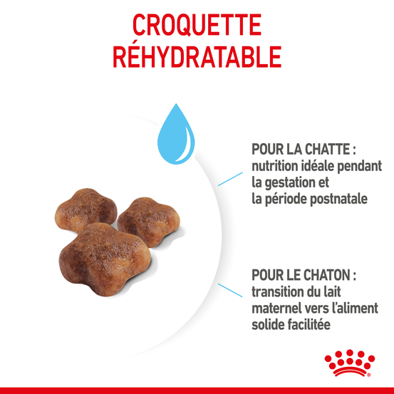 Croquettes chaton de 0 à 4 mois et chatte Mother&Babycat 2kg