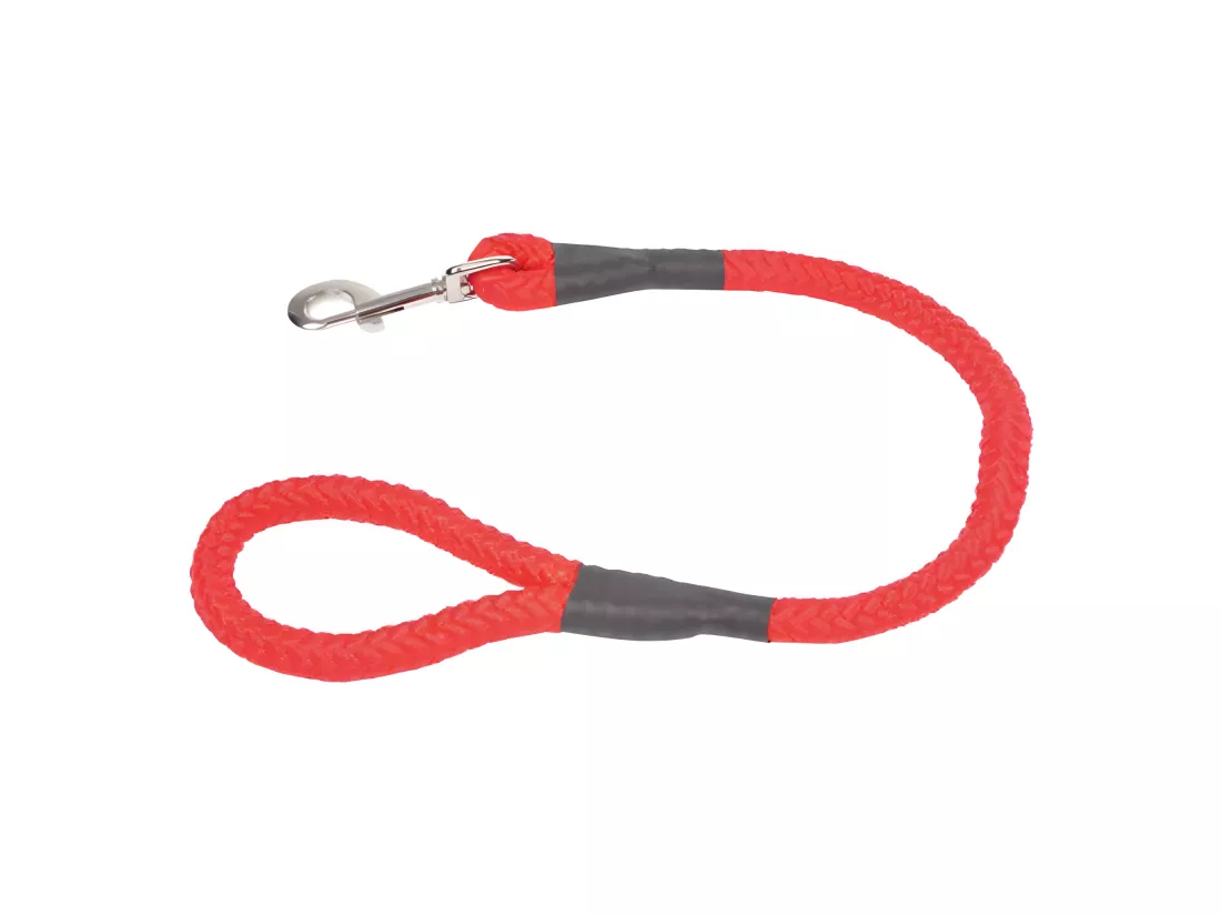 Laisse Ronde pour Chien 