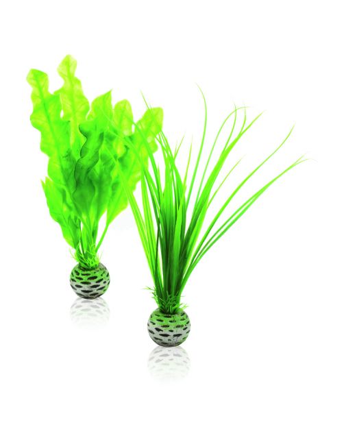 Biorb Plantenset S Groen - Aquarium - Ornament -