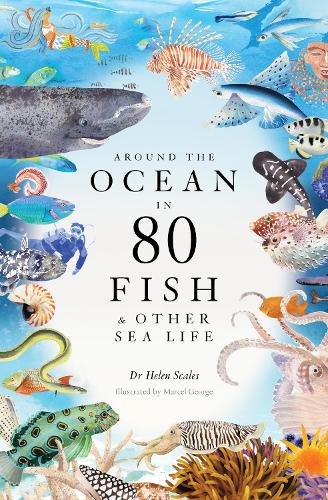 Around the Ocean in 80 Fish and other Sea Life (Hardback)