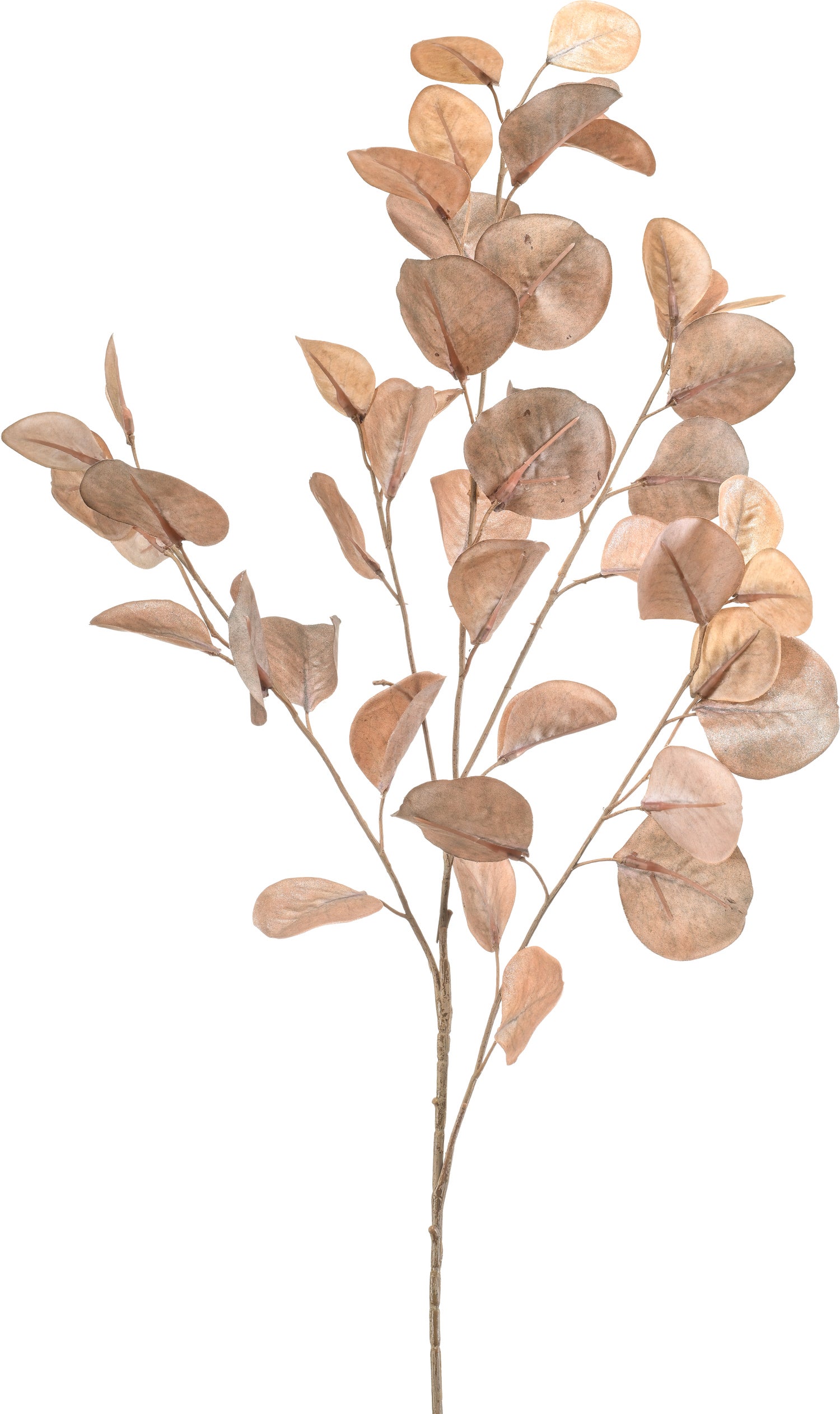 Emerald kunsttak Eucalyptus bruin 93 cm