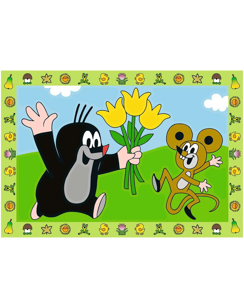 Malen nach Zahlen Junior - Jeder kann malen (Mal-Sets), Bildgröße: 22 x 32 cm: R