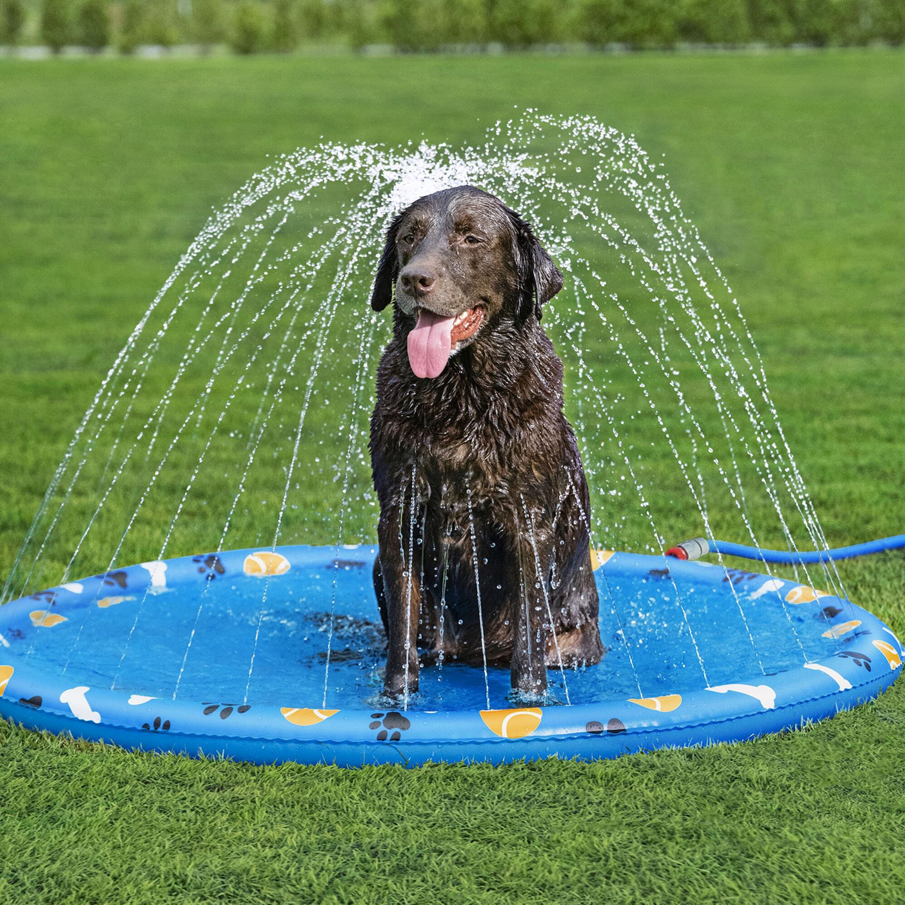 Bestway Hundespielzeug Sprinklermatte Fetchin' Fun 147 cm