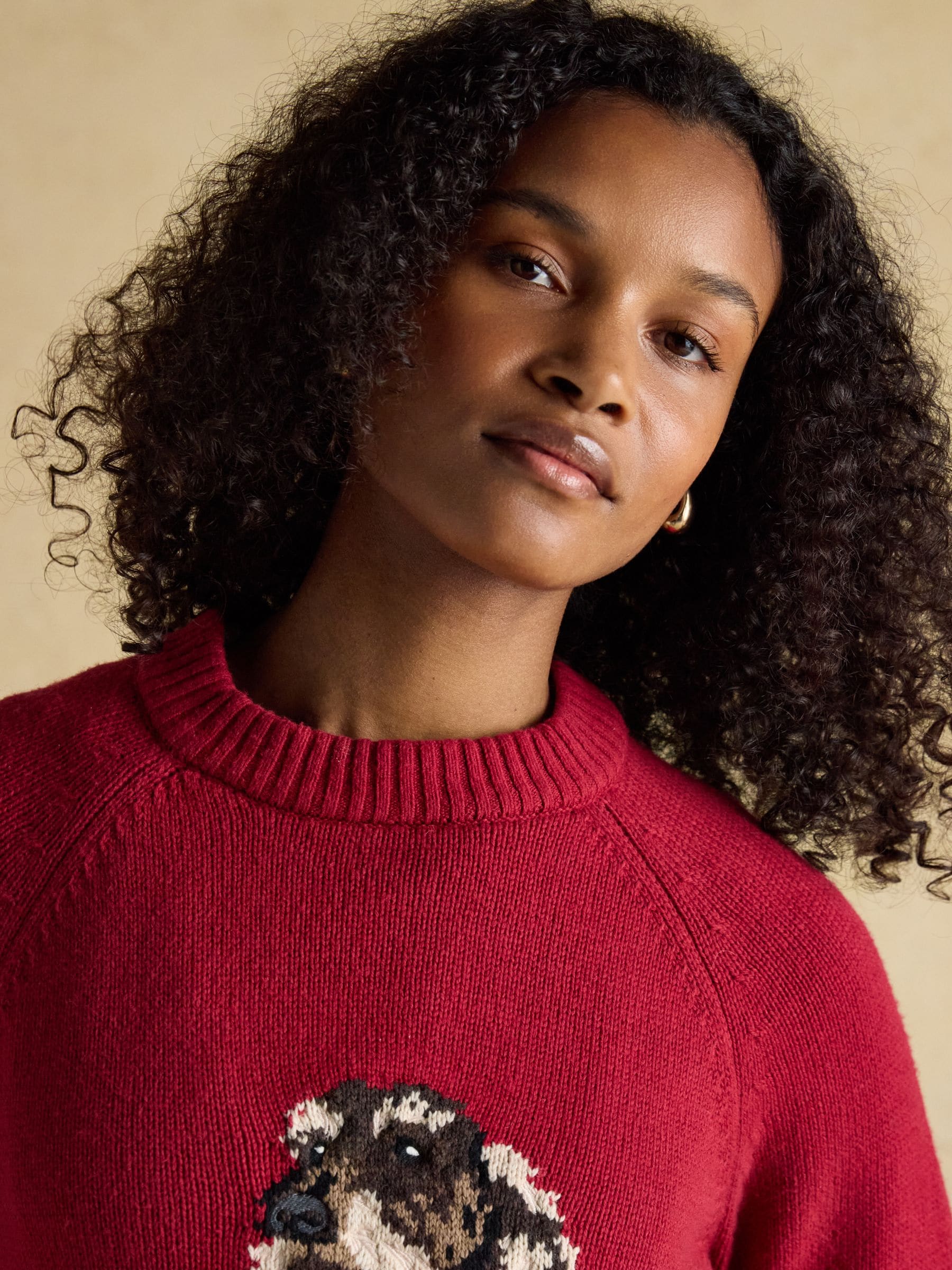 Joules Intarsia trui van katoenmix met regular fit