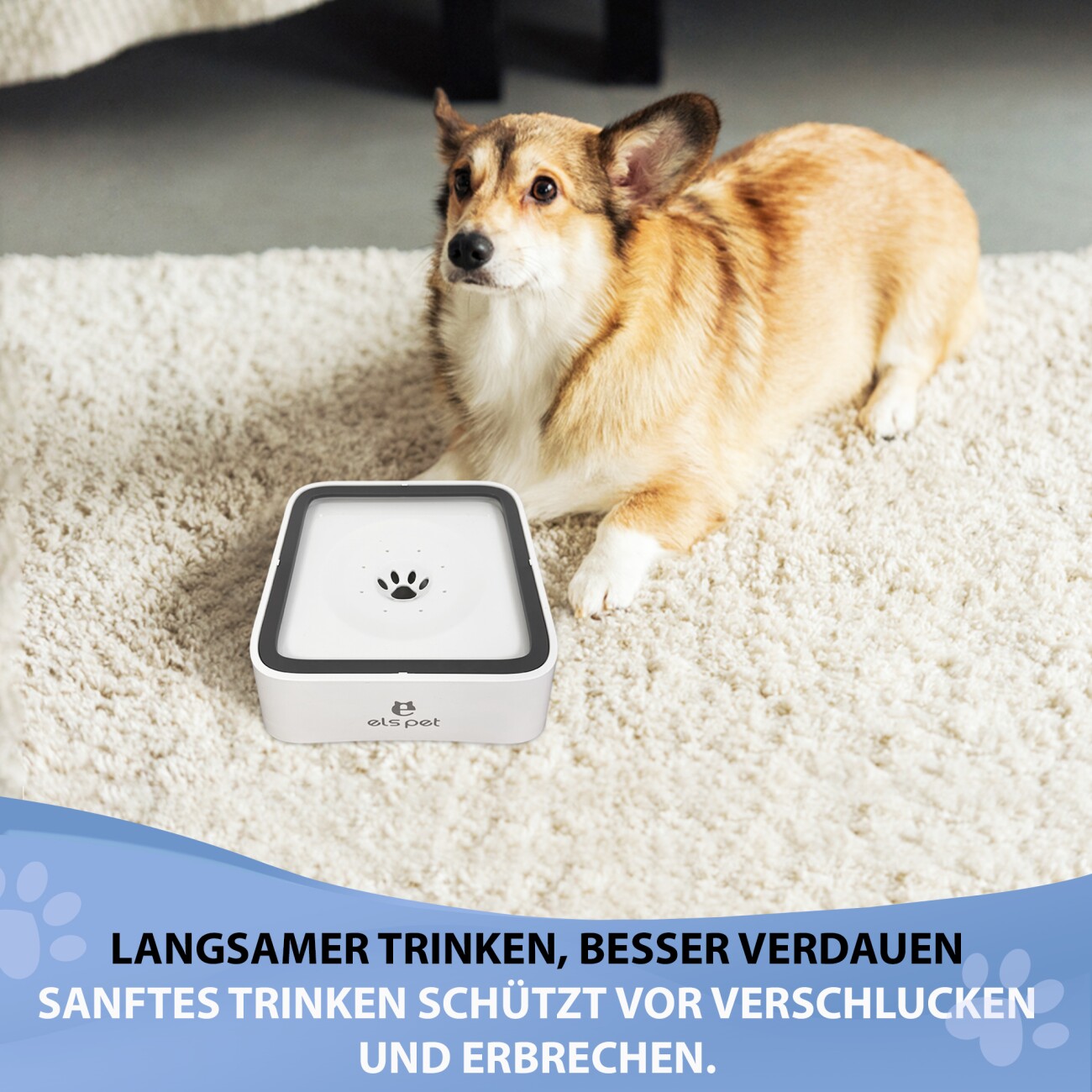 Petsation Anti-Schlabber Napf